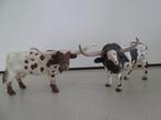 Schleich; 2 Lang hoorn runderen 1 stier en 1 koe, Ophalen of Verzenden, Zo goed als nieuw, Ontdekken
