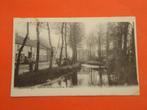 Scherpenheuvel - Montaigu rue de Moulin , Ophalen of Verzenden, Voor 1920, Gelopen, Vlaams-Brabant