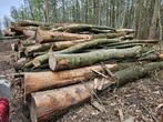 Brandhout op stam tekoop, Tuin en Terras, Brandhout, Stammen, 6 m³ of meer, Overige houtsoorten, Verzenden