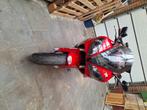 Yamaha R1 Bwj : 1999, Motos, Échappement sport, Super Sport, Particulier, 4 cylindres