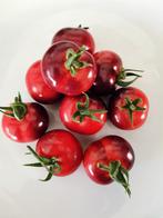 5 zaden tomaat Glossy Rose Blue kerstomaat, Tuin en Terras, Bloembollen en Zaden, Voorjaar, Zaad, Verzenden