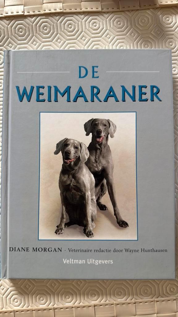 De Weimaraner, Livres, Animaux & Animaux domestiques, Enlèvement ou Envoi