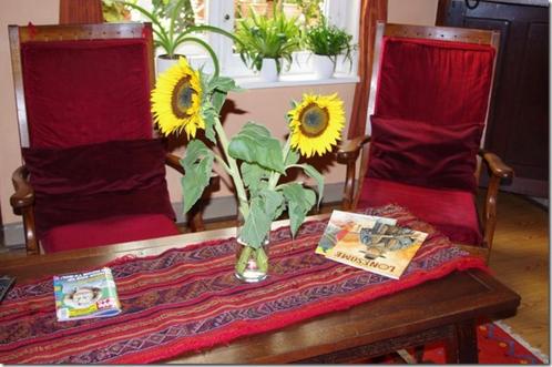 2 zetels, Huis en Inrichting, Zetels | Zetels, Eenpersoons, Hout, Stof, Ophalen