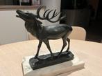 Bronzen brullend damhert op arduinen sokkel, Ophalen of Verzenden