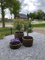 Eiken bloembakken - set van 3 - whiskyvaten - robuust, Ophalen, Tuin, Rond, Nieuw