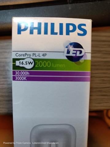 Philips CorePro PL-L 4P LED lamp