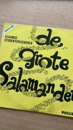 De grote Salamander vinyl, Cd's en Dvd's, Ophalen of Verzenden