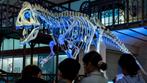 4 tickets - Museum Natuurwetenschappen - Brussel, Drie personen of meer, Ticket of Toegangskaart