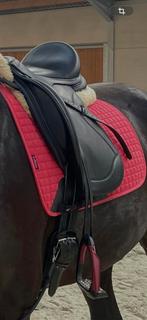 Ikonic dressuurzadel - nieuwstaat, Enlèvement, Comme neuf, Dressage