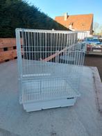 Vogelkooi, Dieren en Toebehoren, Ophalen, Vogelkooi