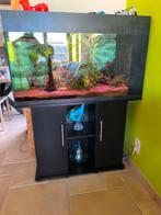 Aquarium 200 litres avec meuble, Enlèvement, Comme neuf