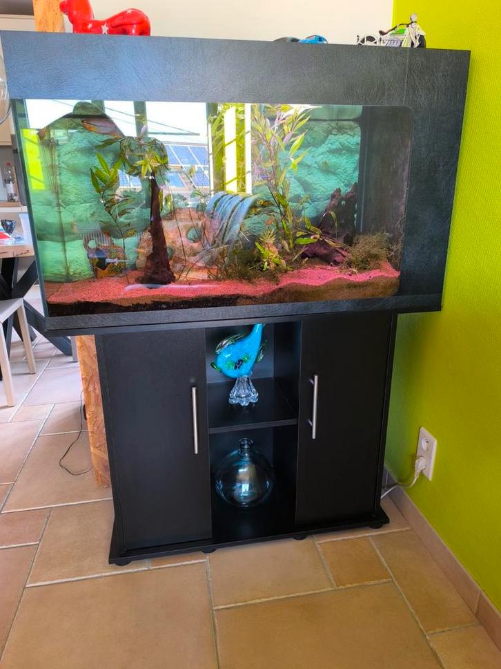 Aquarium 200 litres avec meuble, Animaux & Accessoires, Poissons | Aquariums & Accessoires, Comme neuf, Enlèvement