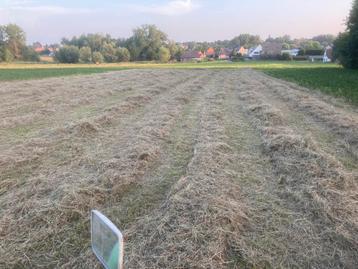 Kleine botjes hooi te koop 2025 beschikbaar voor biedingen
