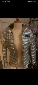 PLEIN SPORT JAS, Kleding | Dames, Jassen | Winter, Ophalen of Verzenden, Maat 36 (S)