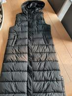 Bodywarmer xl, Ophalen of Verzenden, Zo goed als nieuw, Maat 42/44 (L)