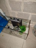 Aquarium van 60 liter, Dieren en Toebehoren, Vissen | Aquaria en Toebehoren, Ophalen of Verzenden, Zo goed als nieuw