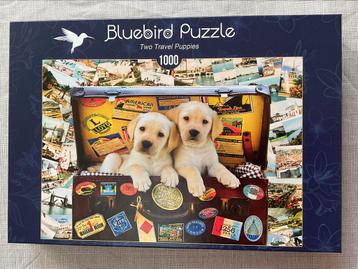 Puzzle BLUEBIRD « Two Travel Puppies » 1000 pièces