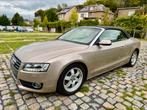 2.0 TDi Start/Stop DPF 90.000 km GPS Xenon leer, Auto's, Audi, Euro 5, Cabriolet, 120 kW, Bedrijf