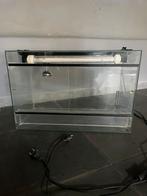 Terrarium 60 cm - 40 cm - 30 cm, Dieren en Toebehoren, Ophalen of Verzenden, Zo goed als nieuw