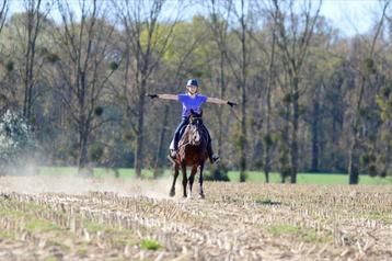 Lieve merrie Epona – perfecte recreatiepartner! beschikbaar voor biedingen
