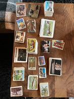 Oude prenten en stickers, Enlèvement ou Envoi, Photo