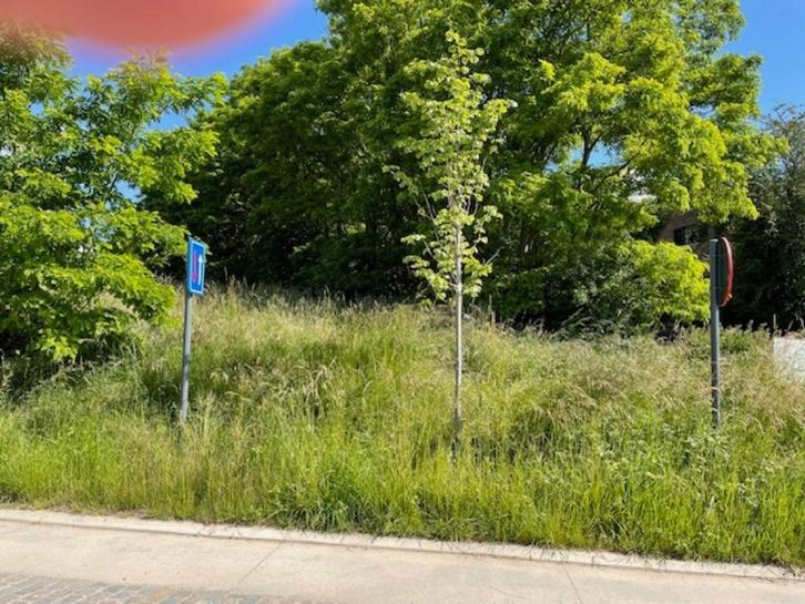 Parcelle unique, Immo, Terrains & Terrains à bâtir, 1000 à 1500 m², Ventes sans courtier