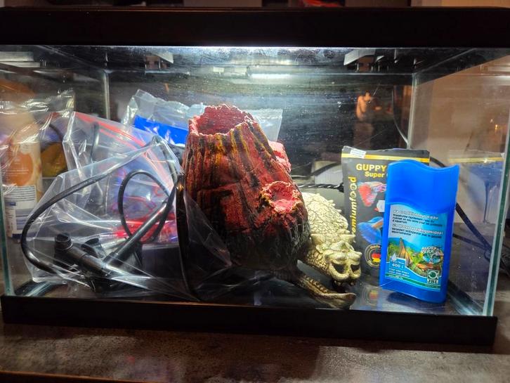 Aquarium 20l avec pompe spéciale combattant, Animaux & Accessoires, Reptiles & Amphibiens | Accessoires, Comme neuf, Enlèvement