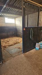 Stallen aangeboden, Weidegang, 2 of 3 paarden of pony's