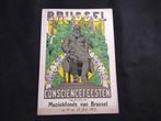 Alfred Ost Brussel Consciencefeesten 1912, Ophalen of Verzenden, Foto
