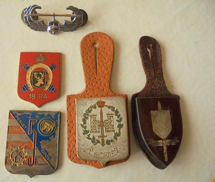 lot van een helicopter wing USA(para) en enkele borsthangers, Verzamelen, Militaria | Algemeen, Landmacht, Embleem of Badge, Ophalen of Verzenden