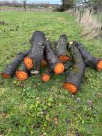 Kersenhout stammen en dikke takken, Ophalen, Overige categorie