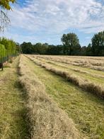 Super droge kwaliteit hooi/voordroog, Dieren en Toebehoren, Ophalen