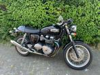 Triumph Thruxton 900 te koop!, Motos, Naked bike, Particulier, 2 cylindres, Plus de 35 kW