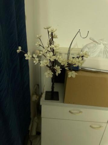 Lichtgevende bloemen beschikbaar voor biedingen