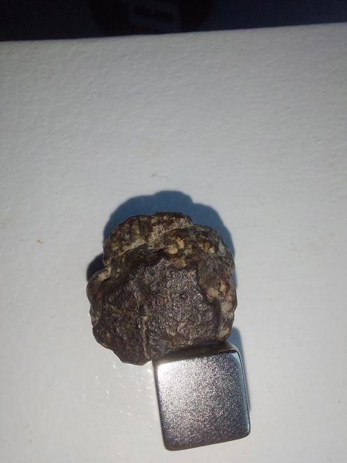 NWA 689 Meteoriet 6,25gr met certificaat, Verzamelen, Mineralen en Fossielen, Overige typen, Ophalen of Verzenden