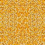 Mais / Voedermais gereinigd /tarwe/gerst eigen kweek, Ophalen of Verzenden