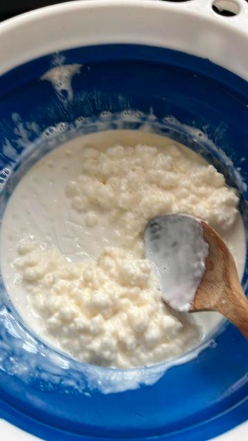 Melk kefir beschikbaar voor biedingen