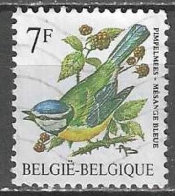 Belgie 1987 - Yvert/OBP 2261 - Buzin - Pimpelmees (ST) beschikbaar voor biedingen