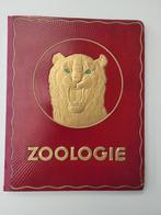 Prentenboek Kwatta perfecte staat, Boeken, Ophalen, Zo goed als nieuw, Prentenboek