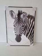 Canvas Zebra, Huis en Inrichting, Ophalen, Nieuw
