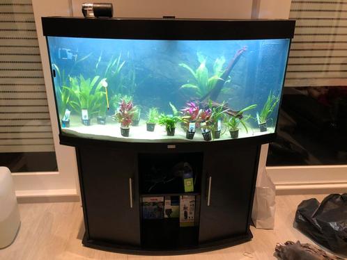 Aquarium en toebehoren 2e hands voor €600 (nieuwprijs €3000), Dieren en Toebehoren, Vissen | Aquaria en Toebehoren, Ophalen