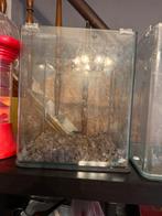 2 nano aquarium, Animaux & Accessoires, Poissons | Aquariums & Accessoires, Enlèvement, Utilisé