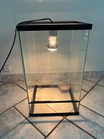 Terrarium met lamp en eet/drinkbak, Dieren en Toebehoren, Ophalen