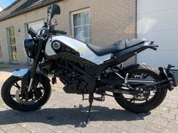 Motor Benelli Leoncino 125cc beschikbaar voor biedingen