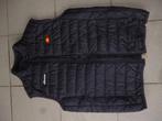 bodywarmer (S), Gedragen, Ophalen of Verzenden, Maat 36 (S)