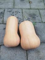 Butternut, Diversen, Levensmiddelen, Ophalen