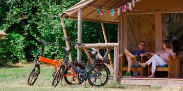 Gezocht 1 of 2 Electrische vouwfiets(en) beschikbaar voor biedingen