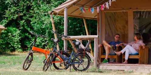 Gezocht 1 of 2 Electrische vouwfiets(en), Fietsen en Brommers, Fietsen | Vouwfietsen, Gebruikt, Versnellingen, Ophalen of Verzenden