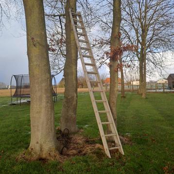 Tweedelige uitschuifbare ladder 2 x 14 treden