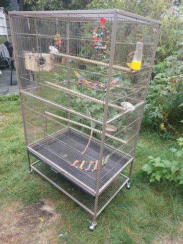 Grote vogelkooi  beschikbaar voor biedingen